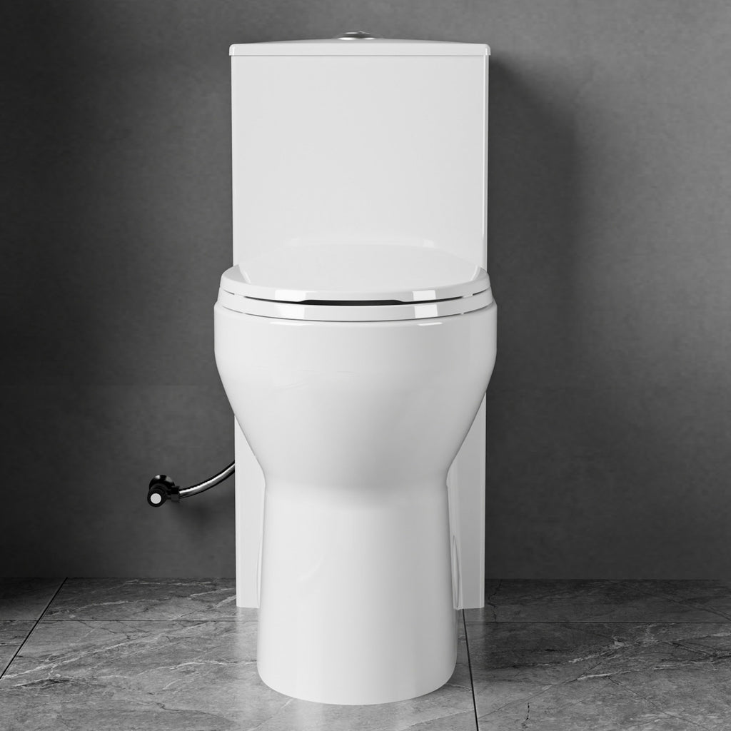 Compact One Piece Toilets for Small Bathroom Space, Modern Toilet with 19 Inch ADA Comfort Seat Height, 1.0/1.28 GPF Tornado Dual Flush,12 Inch Rougn In