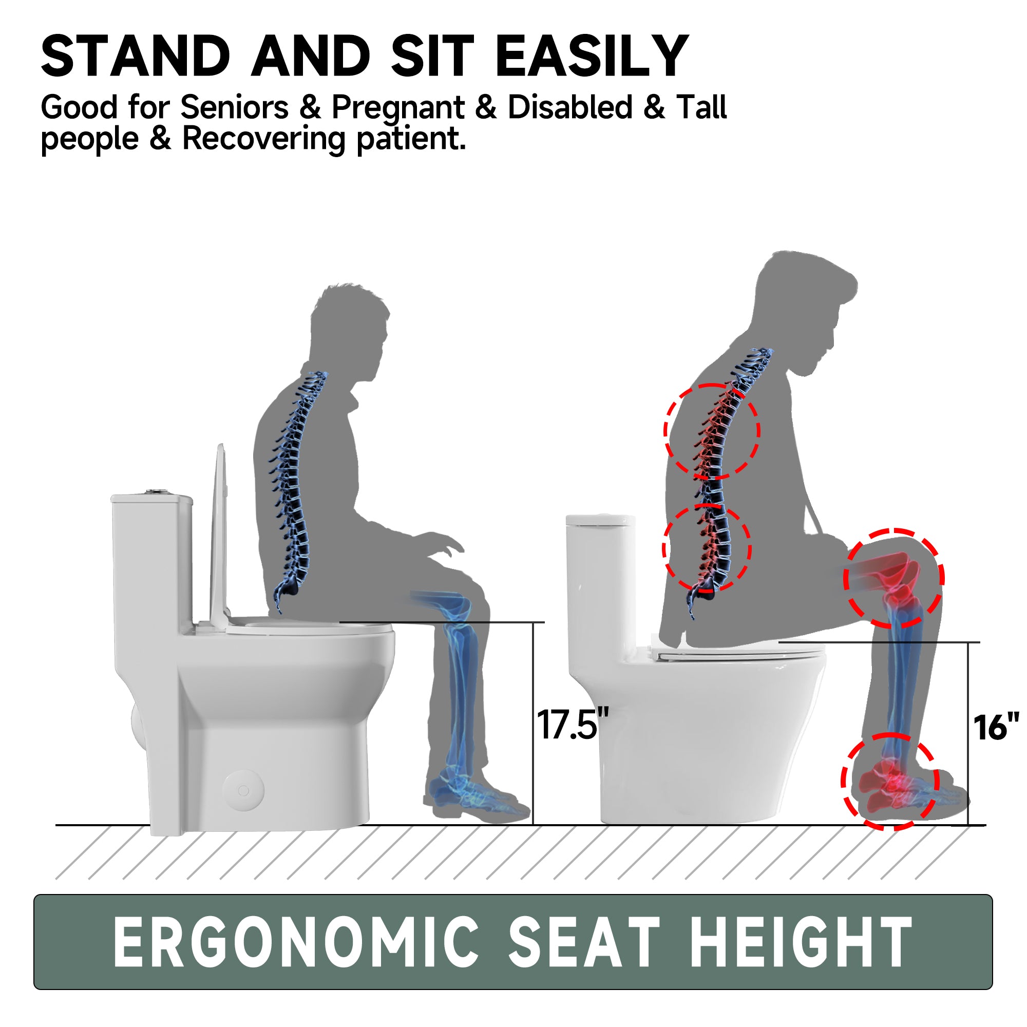 Compact One Piece Toilets for Small Bathroom Space, Modern Toilet with 17 Inch ADA Comfort Seat Height, 1.0/1.28 GPF Tornado Dual Flush,12 Inch Rougn In