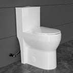 Compact One Piece Toilets for Small Bathroom Space, Modern Toilet with 19 Inch ADA Comfort Seat Height, 1.0/1.28 GPF Tornado Dual Flush,12 Inch Rougn In