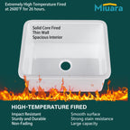 White Undermount Kitchen Sink 24 Inch - Small Topmount Fireclay Bar Sink Drop In 24"x19"x11", Dual Mount Deep Single Bowl, w 2 Accessories, Glossy White, for Kitchen & Laundry & Small Space