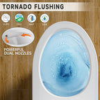 Elongated Modern Tall Toilet 19 Inch for Seniors, Powerful Tornado Flush Skirted High Toilet for Bathroom,One Piece Water Saving Dual Flush 1.0/1.28 GPF,Comfort ADA Bowl Heigh 18 Inch