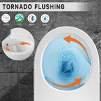 Compact One Piece Toilets for Small Bathroom Space, Modern Toilet with 19 Inch ADA Comfort Seat Height, 1.0/1.28 GPF Tornado Dual Flush,12 Inch Rougn In