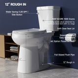 Elongated Tall Toilet 20 Inch for Seniors - 1.1/1.6 GPF Dual Flush Two Piece ADA High Toilet for Bathroom, 19 Inch Bowl Height, 20 Inch Seat Height, 12" Rough In, White