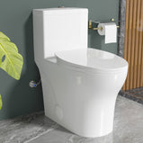 Elongated One Piece Toilets with 17 Inch ADA Comfort Seat Height for Seniors, Modern Toilet with 1.0/1.28 GPF Tornado Dual Flush Water Saving, 12 Inch Rougn In