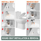 Compact One Piece Toilets for Small Bathroom Space, Modern Toilet with 17 Inch ADA Comfort Seat Height, 1.0/1.28 GPF Tornado Dual Flush,12 Inch Rougn In