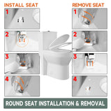 Compact One Piece Toilets for Small Bathroom Space, Modern Toilet with 17 Inch ADA Comfort Seat Height, 1.0/1.28 GPF Tornado Dual Flush,12 Inch Rougn In