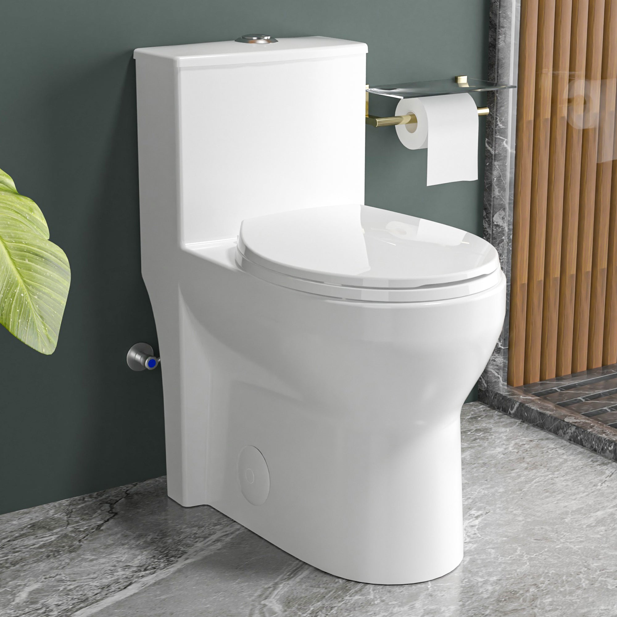 Compact One Piece Toilets for Small Bathroom Space, Modern Toilet with 17 Inch ADA Comfort Seat Height, 1.0/1.28 GPF Tornado Dual Flush,12 Inch Rougn In