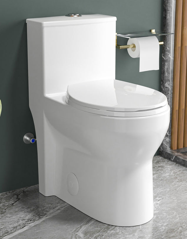 Compact One Piece Toilets for Small Bathroom Space, Modern Toilet with 17 Inch ADA Comfort Seat Height, 1.0/1.28 GPF Tornado Dual Flush,12 Inch Rougn In