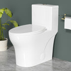 Elongated One Piece Toilets with 17 Inch ADA Comfort Seat Height for Seniors, Modern Toilet with 1.0/1.28 GPF Tornado Dual Flush Water Saving, 12 Inch Rougn In