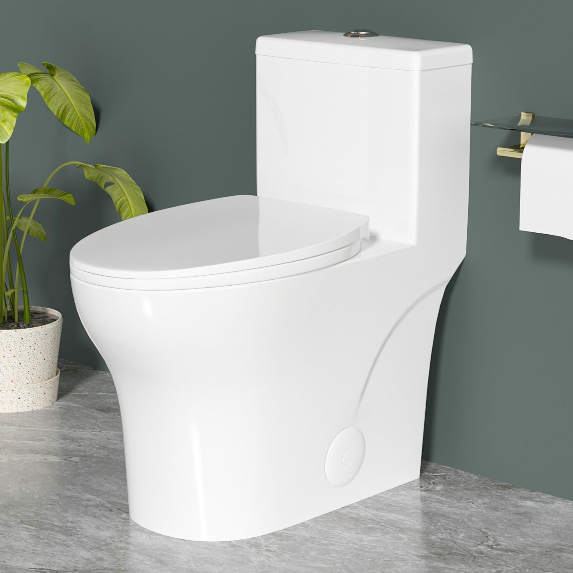 Elongated One Piece Toilets with 17 Inch ADA Comfort Seat Height for Seniors, Modern Toilet with 1.0/1.28 GPF Tornado Dual Flush Water Saving, 12 Inch Rougn In
