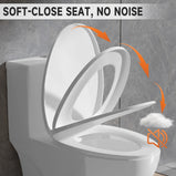 Elongated Modern Tall Toilet 19 Inch for Seniors, Powerful Tornado Flush Skirted High Toilet for Bathroom,One Piece Water Saving Dual Flush 1.0/1.28 GPF,Comfort ADA Bowl Heigh 18 Inch
