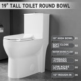 Compact One Piece Toilets for Small Bathroom Space, Modern Toilet with 19 Inch ADA Comfort Seat Height, 1.0/1.28 GPF Tornado Dual Flush,12 Inch Rougn In