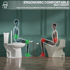 21 Inch Tall Toilets Elongated Toilet Extra High Toilets for Seniors Toilets for Bathrooms Comfort Height Elongated Toilet for Elderly, Two-Piece Dual Flush 1.1/1.6 GPF 12” Rough In - Miuara LLC