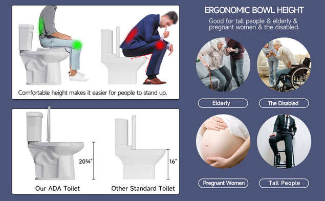  Extra Tall 22" Comfort Height Toilet for Seniors – Elongated, Dual Flush 1.1/1.6 GPF, 12" Rough-In, Two-Piece Bathroom Toilet