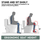 Elongated One Piece Toilets with 17 Inch ADA Comfort Seat Height for Seniors, Modern Toilet with 1.0/1.28 GPF Tornado Dual Flush Water Saving, 12 Inch Rougn In