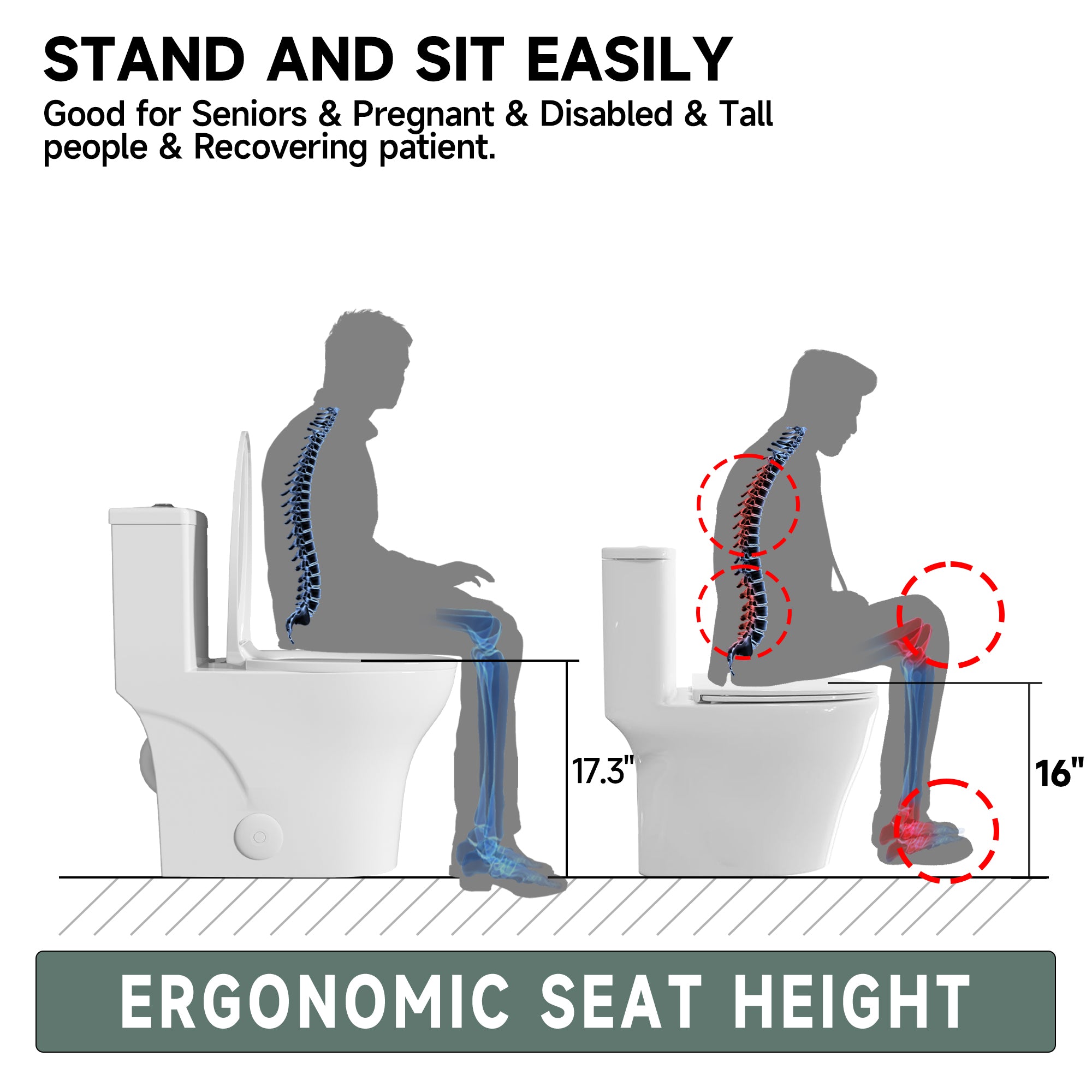 Elongated One Piece Toilets with 17 Inch ADA Comfort Seat Height for Seniors, Modern Toilet with 1.0/1.28 GPF Tornado Dual Flush Water Saving, 12 Inch Rougn In